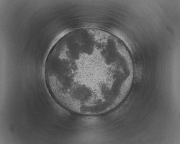 X0000116431090200912291903