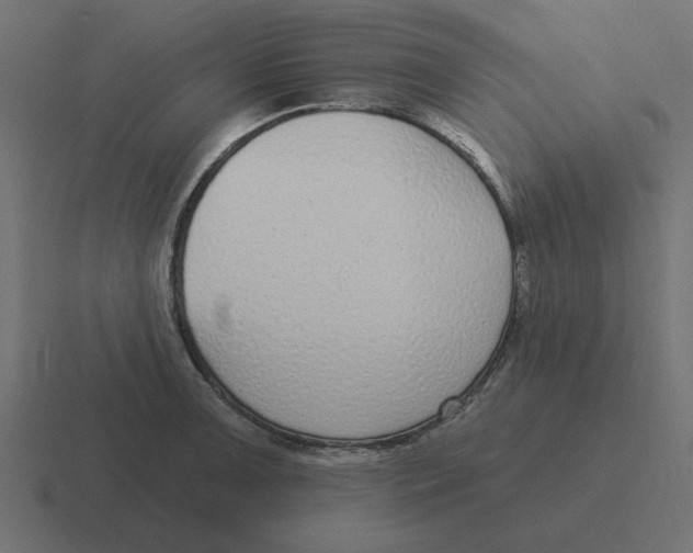 X0000116431091200912291903