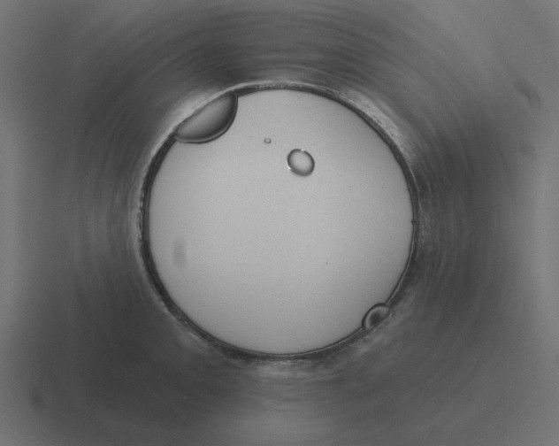 X0000116431093200912291903