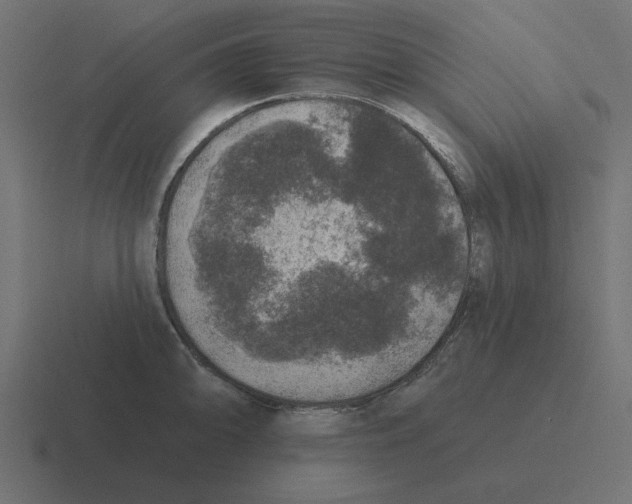 X0000116431094200912291903