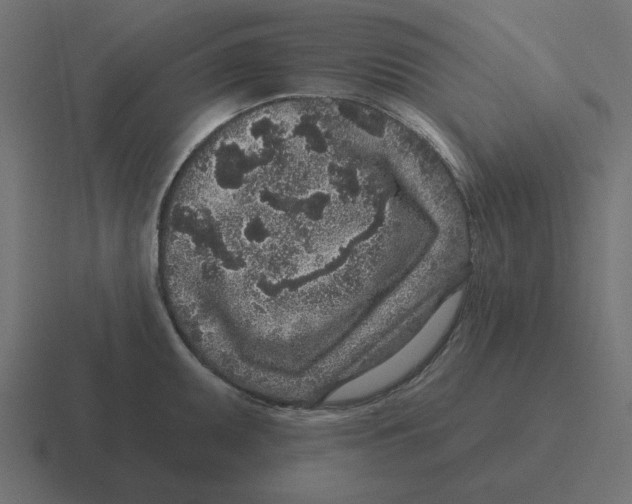 X0000116431095200912291903