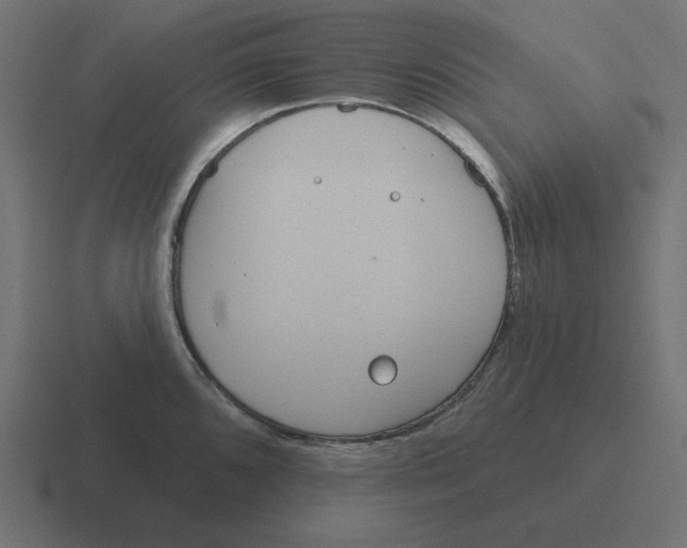 X0000116431096200912291903