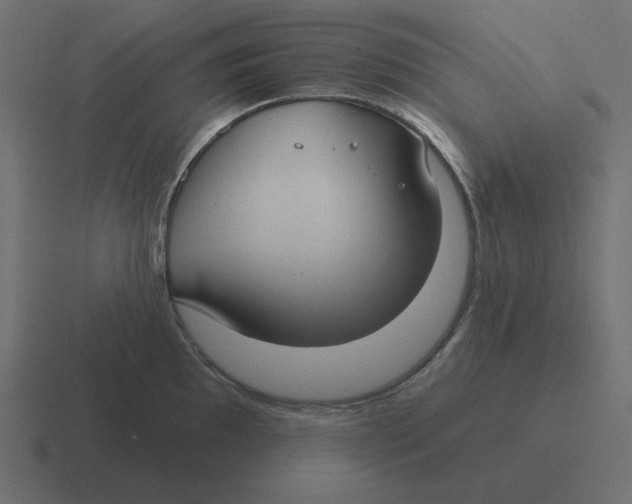 X0000116431097200912291903