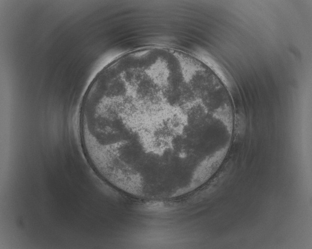 X0000116431098200912291903