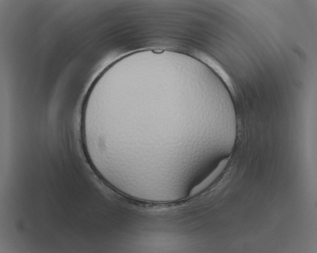 X0000116431099200912291903