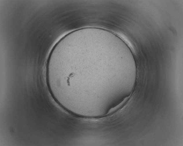 X0000116431100200912291903