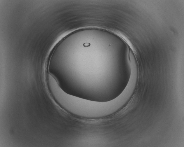 X0000116431101200912291903