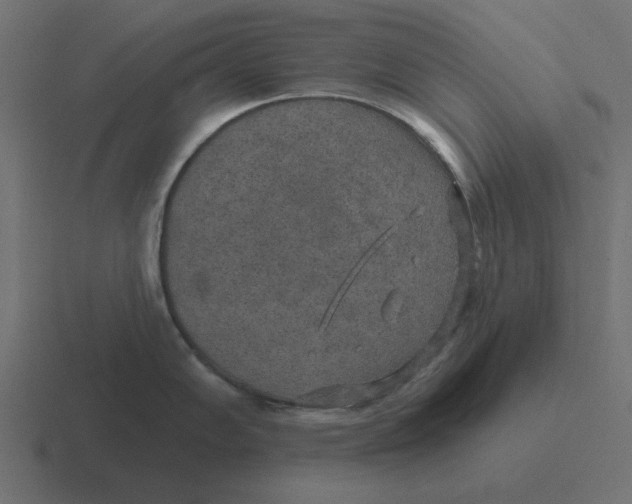 X0000116431102200912291903