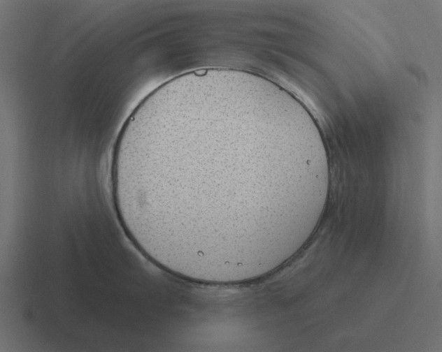 X0000116431103200912291903