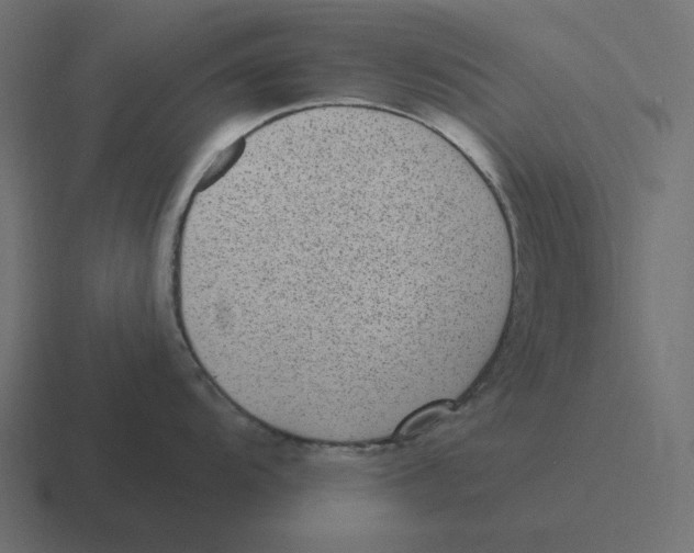 X0000116431104200912291903