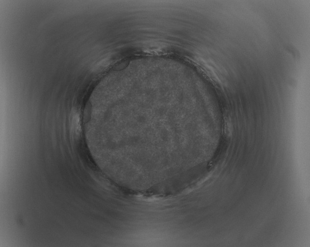 X0000116431106200912291903