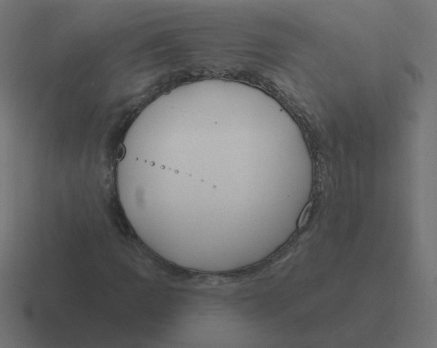 X0000116431109200912291903