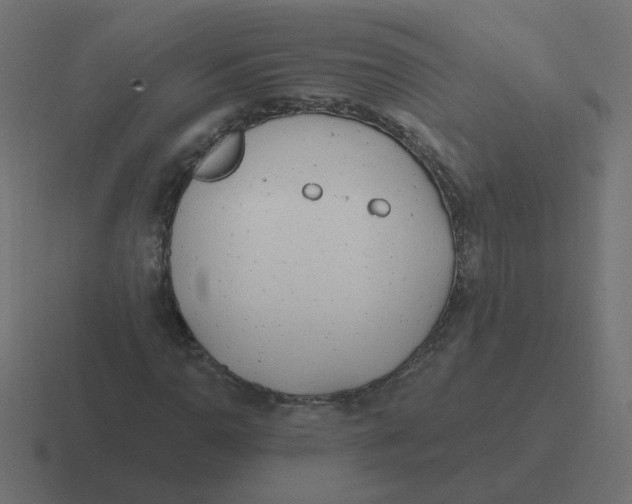 X0000116431110200912291903