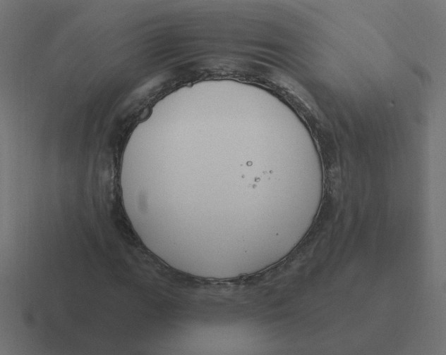 X0000116431111200912291903