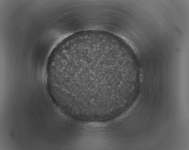 X0000116431117200912291903