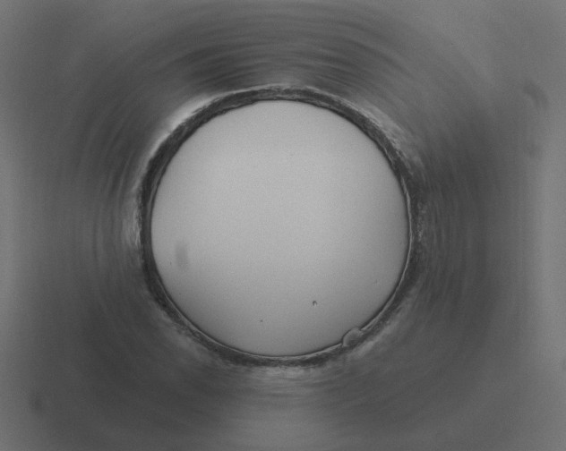 X0000116431118200912291903