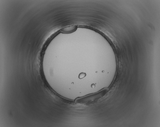 X0000116431119200912291903