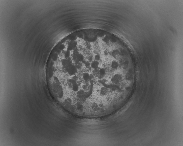 X0000116431121200912291903