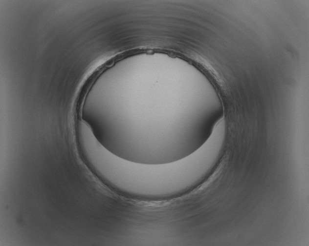 X0000116431122200912291903