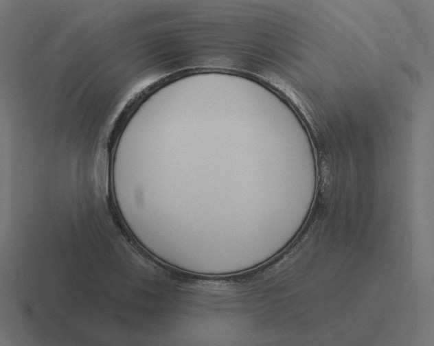 X0000116431123200912291903