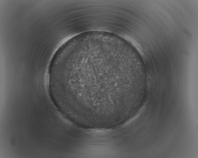 X0000116431125200912291903