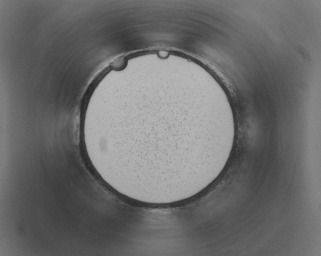 X0000116431126200912291903