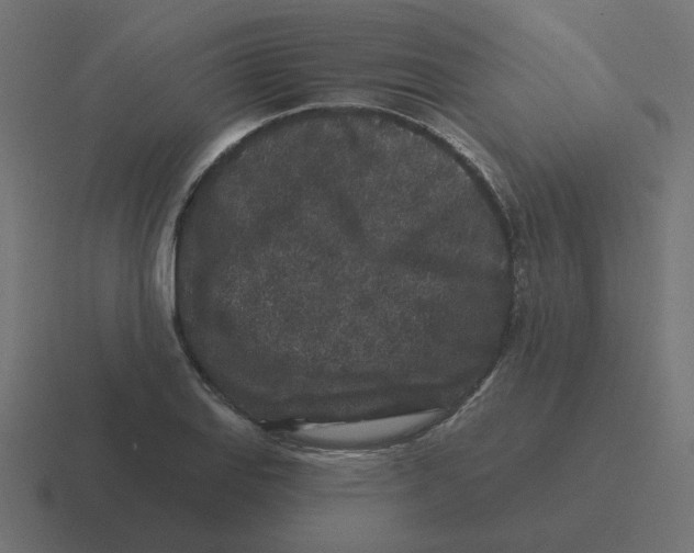 X0000116431127200912291903