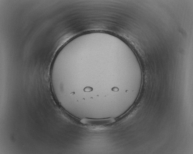 X0000116431129200912291903