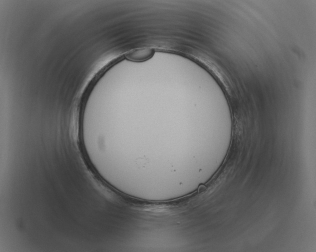 X0000116431131200912291903