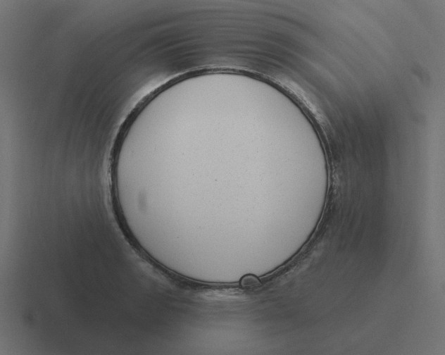 X0000116431133200912291903