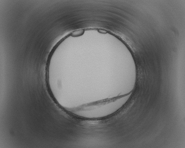 X0000116431134200912291903