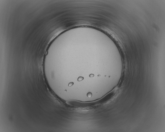 X0000116431137200912291903