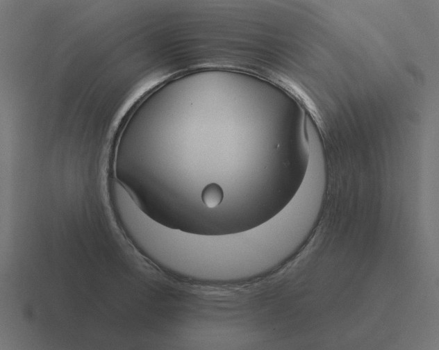 X0000116431138200912291903