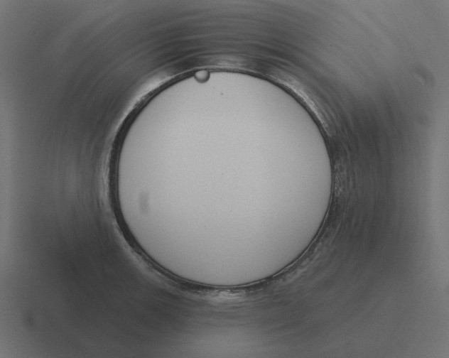 X0000116431139200912291903