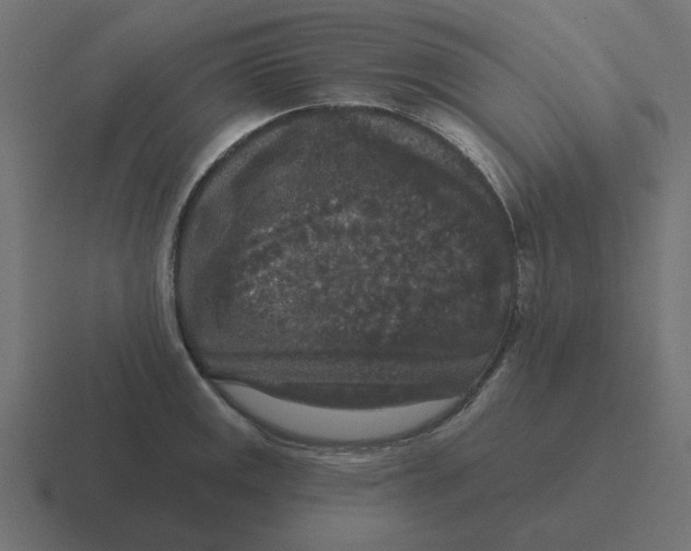 X0000116431141200912291903