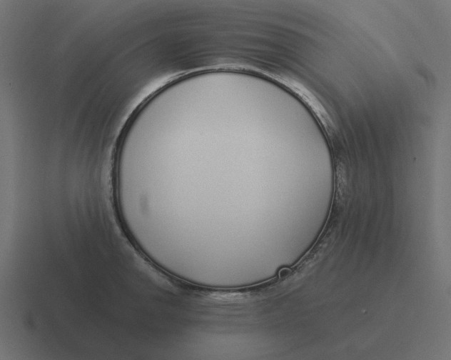 X0000116431142200912291903