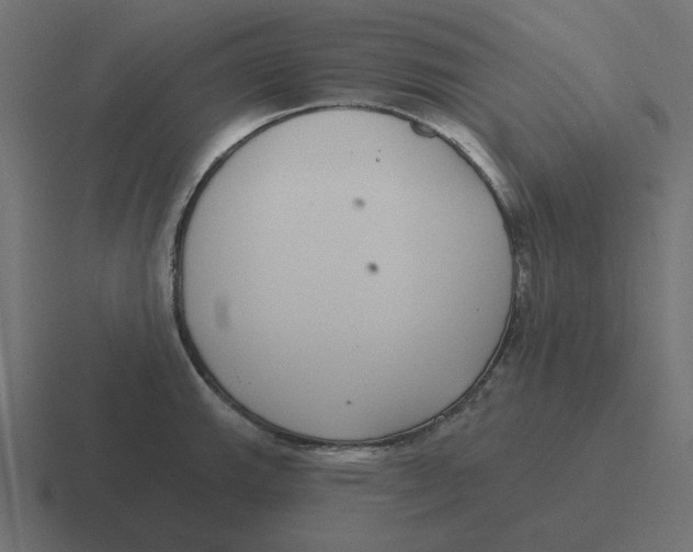 X0000116431143200912291903