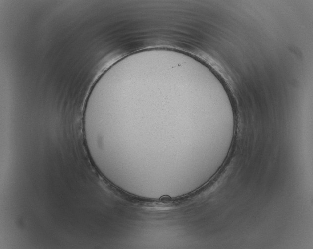 X0000116431145200912291903