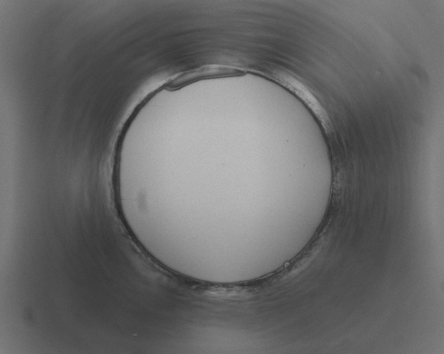 X0000116431146200912291903