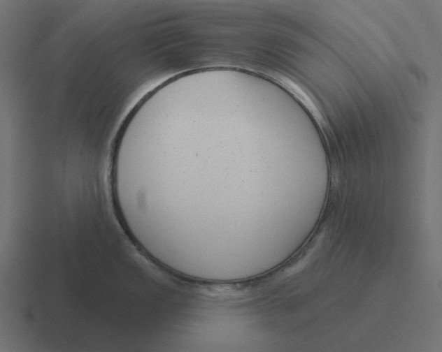 X0000116431149200912291903