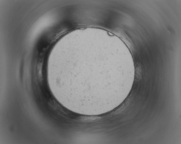 X0000116431150200912291903