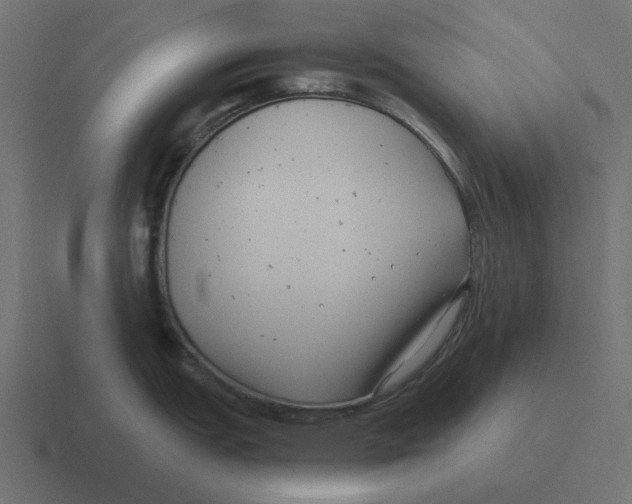 X0000116431151200912291903