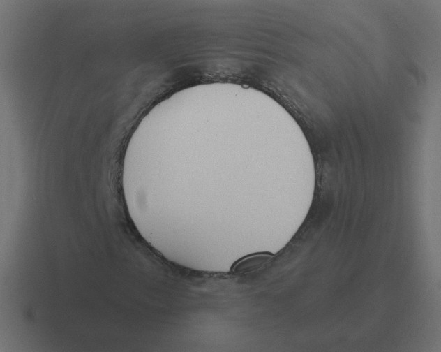 X0000116431153200912291903