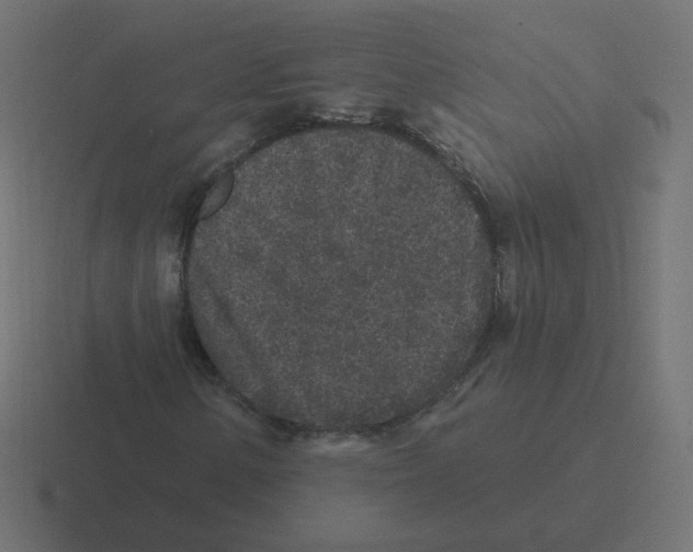 X0000116431154200912291903