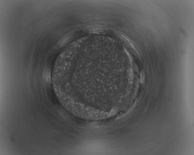 X0000116431155200912291903