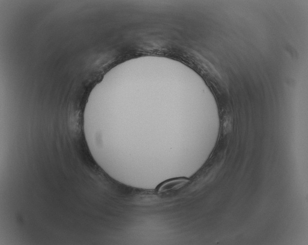 X0000116431156200912291903