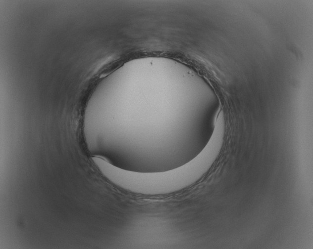 X0000116431157200912291902