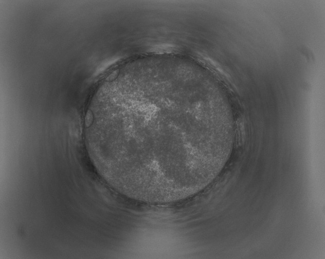 X0000116431158200912291902