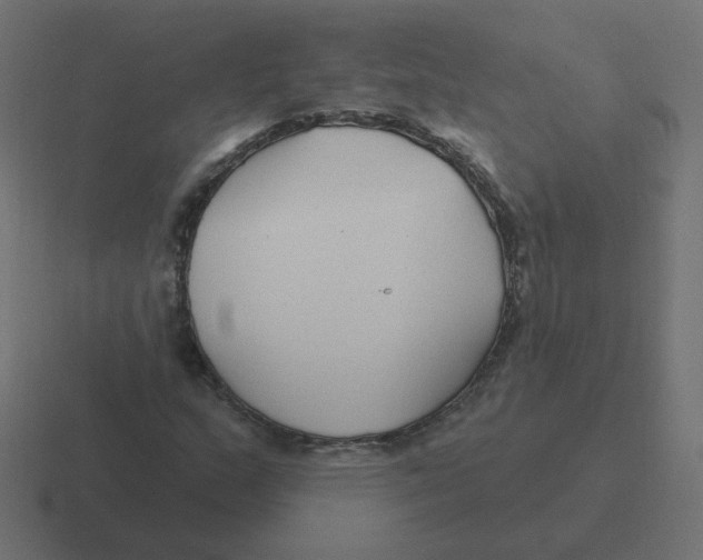 X0000116431159200912291902