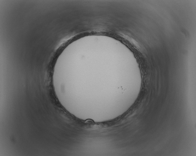 X0000116431160200912291902